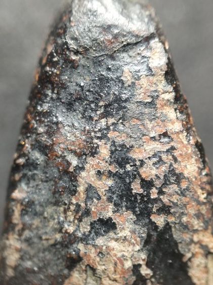 นางพญาพิษณุโลกลงรักครับ รูปที่ 14