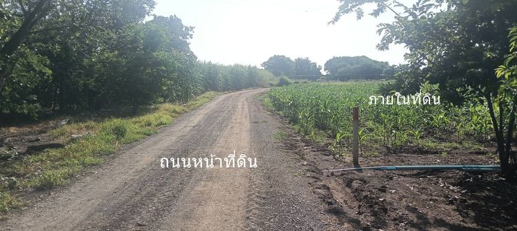 ขายที่ดิน 8 ไร่ อ.พระพุทธบาท สระบุรี ไร่ละ 3 แสน รูปที่ 3