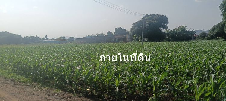 ขายที่ดิน 8 ไร่ อ.พระพุทธบาท สระบุรี ไร่ละ 3 แสน รูปที่ 4