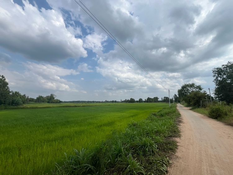 ที่ดินอุดโฉนดครุฑแดง พร้อมโอน ✨ ที่ดินแปลงสวย ด้านหน้าติดลำธารธรรมชาติ บรรยากาศเงียบสงบ เหมาะสำหรับบ้านสวน ทำเกษตร หรือสร้างบ้านพักยามเกษียณ รูปที่ 4