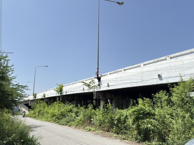 ขายที่ดิน 13 ไร่ 39 ตรว แถวหนองจอก ติดถนนสุวินทวงศ์ ข้ามสะพานไปฉะเชิงเทรา ที่ดินเป็นฝั่ง กทม รูปที่ 3