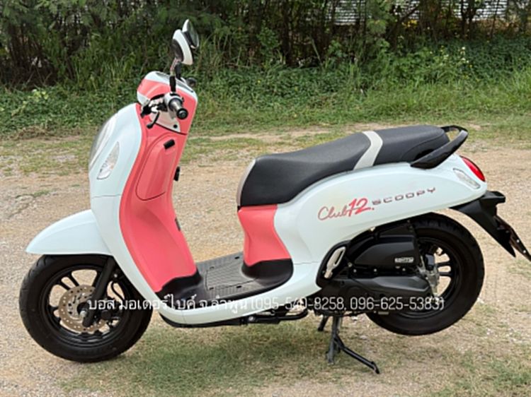 Scoopy i Club12 งามกริ๊ป สภาพนางฟ้า รถปี67(2024) ฟรีดาวน์ ออกรถ 0 บาท ไม่ค้ำ ผ่อนสบายๆ จร้า