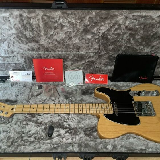 Fender American Professional Telecaster (USA)