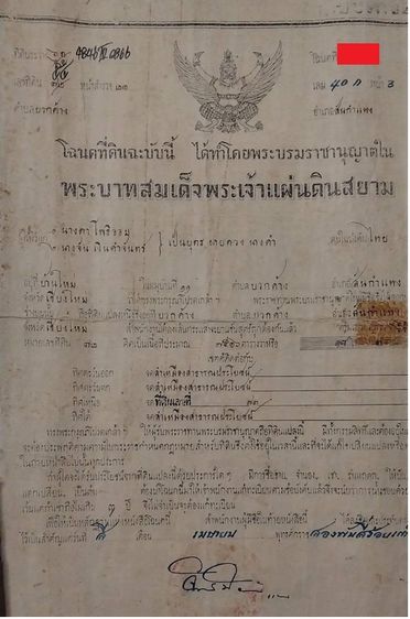 ขายที่ดิน ตำบลบวกค้าง อำเภอสันกำแพง จังหวัดเชียงใหม่