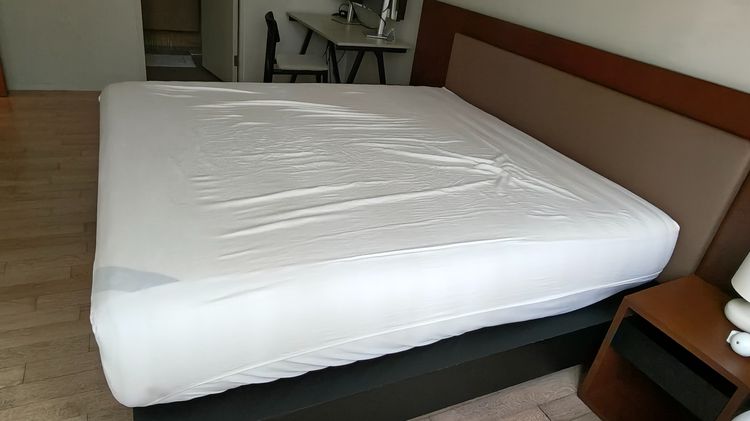 Omazz King Grand Falcohn Mattress รูปที่ 3