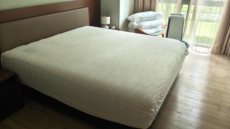 Omazz King Grand Falcohn Mattress รูปที่ 9