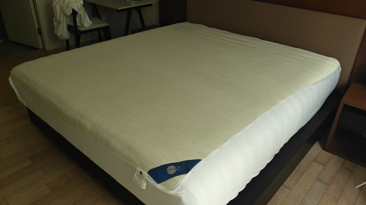 Omazz King Grand Falcohn Mattress
