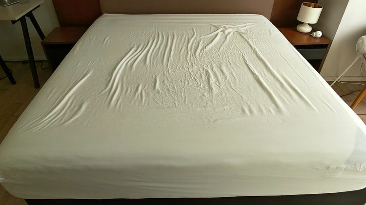 Omazz King Grand Falcohn Mattress รูปที่ 2