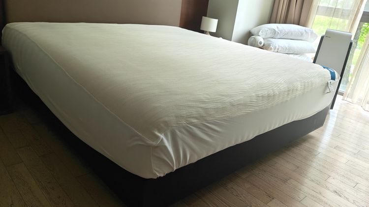 Omazz King Grand Falcohn Mattress รูปที่ 10