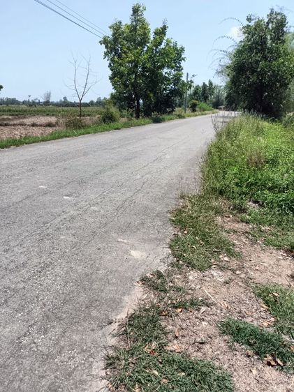 ขายที่ดินแม่ลาวดงมะดะโฉนดครุฆแดงพร้อมโอนให้ รูปที่ 2