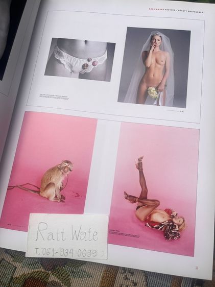 หนังสือศิลปะThe Society of (SPD 39) รูปที่ 2