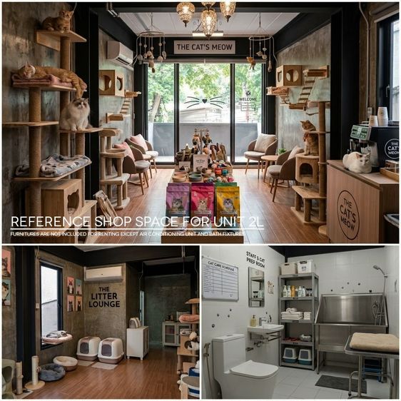3ZF BUILDING FOR RENT รูปที่ 3