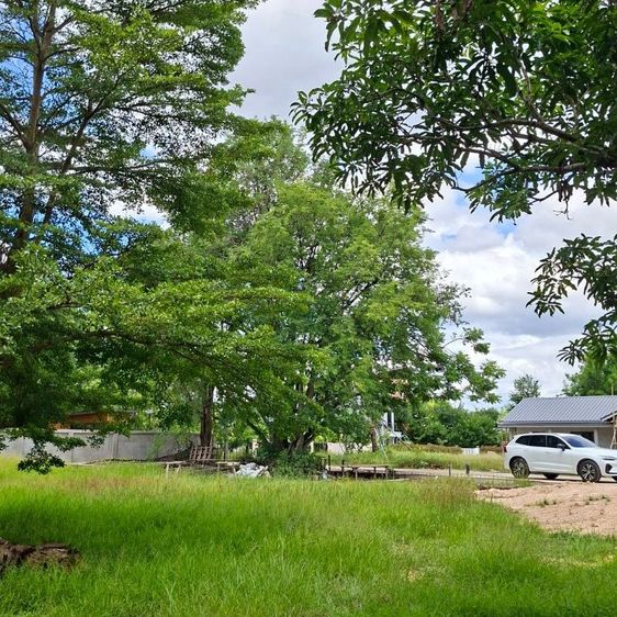 เปิดขายที่ดินแปลงสวย ทำเลดี 125ตรว.