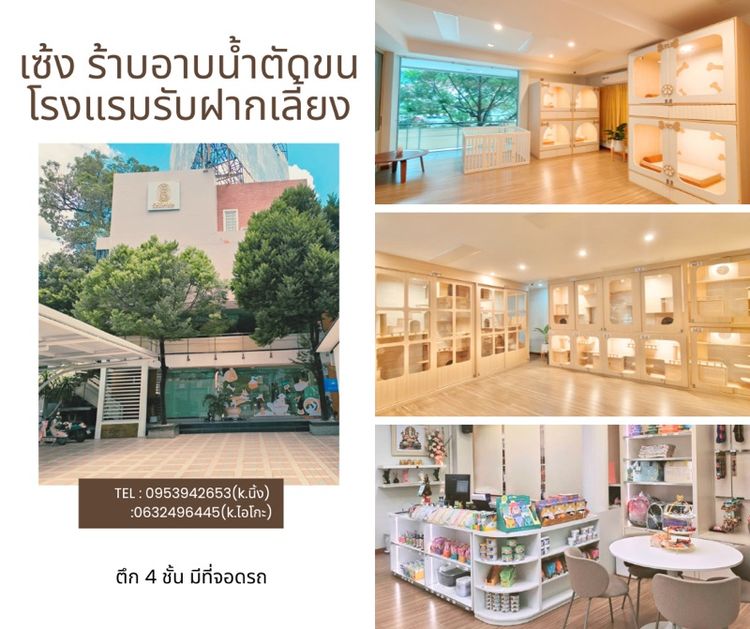 ขายกิจการโรงแรมสัตว์เลี้ยง (พร้อมห้องอาบน้ำตัดขน)