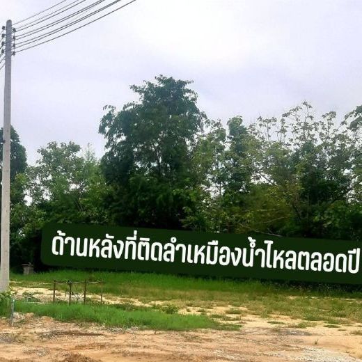 ใช่ ที่ดินแปลงสวย ธรรมชาติ 108ตรว.=864,000บาท รูปที่ 3