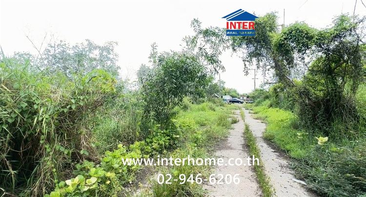 ที่ดินเปล่า 323 ตร.ว. ที่ดิน ใกล้สุ รีสอร์ท ซอยคลองสี่10 (หมู่6) ถนนคลองหลวง คลองหลวง ปทุมธานี รูปที่ 4