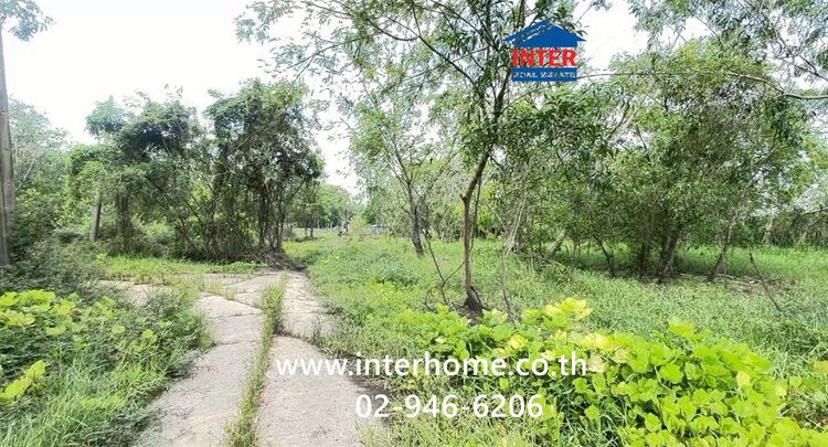 ที่ดินเปล่า 323 ตร.ว. ที่ดิน ใกล้สุ รีสอร์ท ซอยคลองสี่10 (หมู่6) ถนนคลองหลวง คลองหลวง ปทุมธานี รูปที่ 3