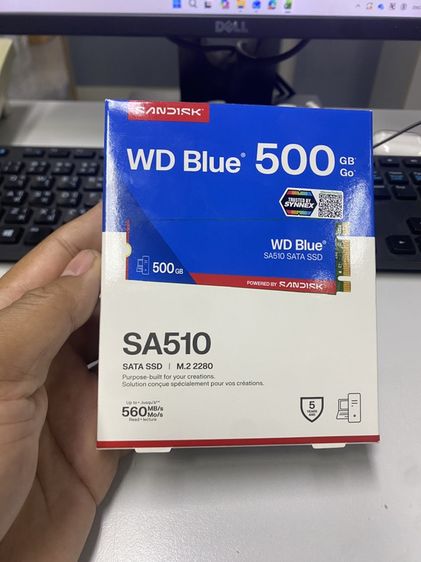 ที่เก็บข้อมูลและเมมโมรี่การ์ด WD Blue SA510 SATA SSD M.2 2280 - 500 GB (WDS500G3B0B-00AXS0)