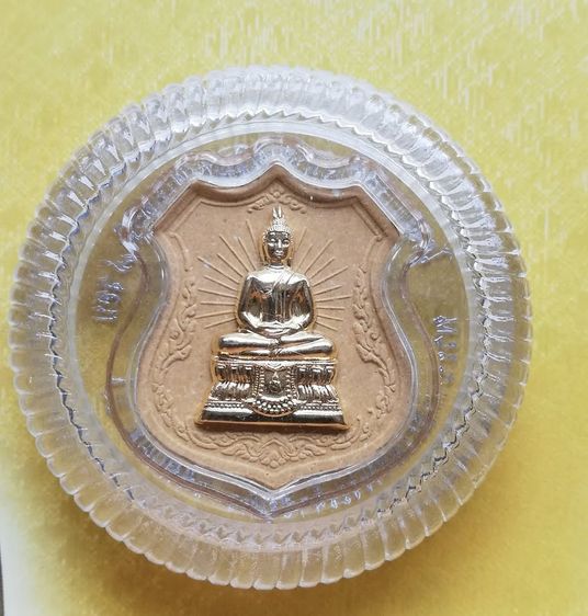 เหรียญเนื้อผงหน้ากากทอง พระพุทธพรรณีศรีธรรมไภสัช เฉลิมพระเกียรติ ๘๔ ปี ๒๕๕๔ รูปที่ 7