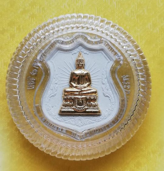 เหรียญเนื้อผงหน้ากากทอง พระพุทธพรรณีศรีธรรมไภสัช เฉลิมพระเกียรติ ๘๔ ปี ๒๕๕๔ รูปที่ 4