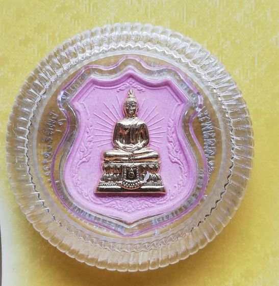 เหรียญเนื้อผงหน้ากากทอง พระพุทธพรรณีศรีธรรมไภสัช เฉลิมพระเกียรติ ๘๔ ปี ๒๕๕๔ รูปที่ 6