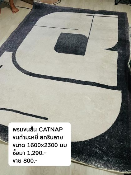 พรมขนสั้นขนาดใหญ่