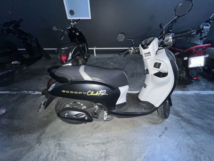scoopy club12 ปี24 รูปที่ 5