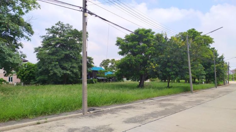 ใช่ ขายที่ดิน พร้อมปลูกบ้านอาศัย สามโคก ปทุมธานี ใกล้ตลาดโรงเกลือท้ายเกาะ รูปที่ 2