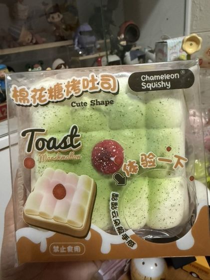 สกุชชี่ 6 ชิ้น สินค้ามีแบรนด์ทุกกล่อง