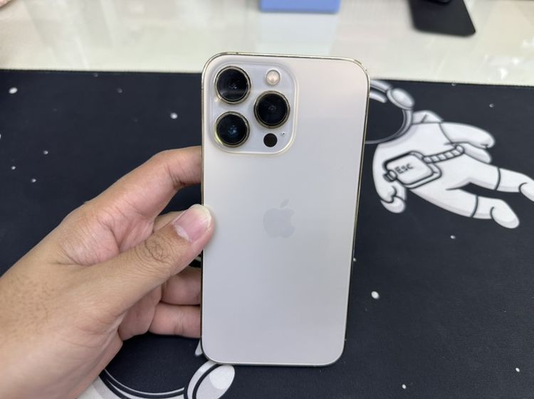 iPhone 13Pro