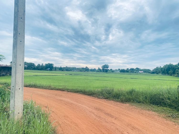 ขายที่ดิน เจ้าของขายเอง ราคาต่อรอกันได้ รูปที่ 4