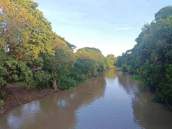 L898 ขายที่นา 12ไร่เศษ บางปะหัน อยุธยา ใกล้วัดตาลเอน ติดคลองบางพระครู