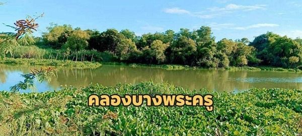 L898 ขายที่นา 12ไร่เศษ บางปะหัน อยุธยา ใกล้วัดตาลเอน ติดคลองบางพระครู รูปที่ 2