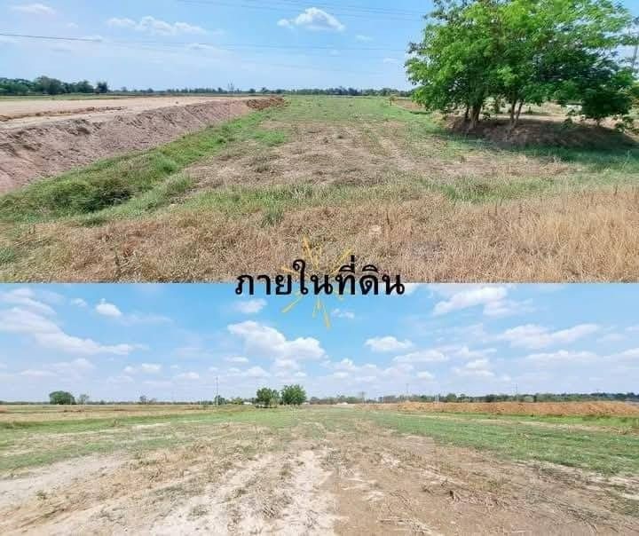 ขายถูกที่ดิน8ไร่3งานติดถนน4เลนพุทไธสง-พยัคเส้นใหญ่202 รูปที่ 2
