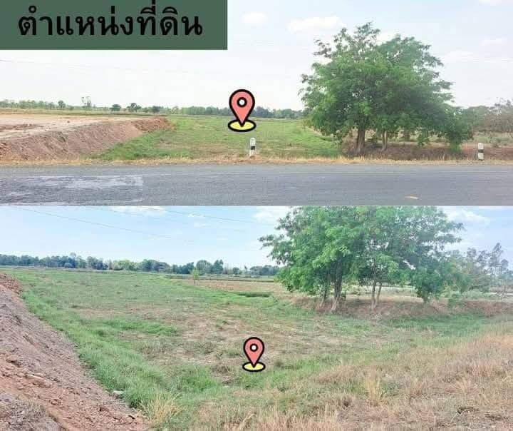 ขายถูกที่ดิน8ไร่3งานติดถนน4เลนพุทไธสง-พยัคเส้นใหญ่202 รูปที่ 3
