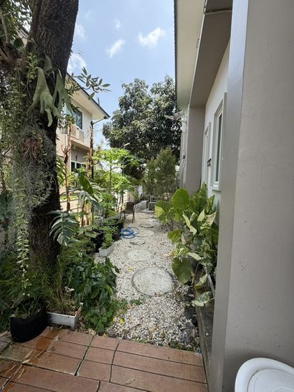ตกแต่งครบ 🔥ขายด่วน หมู่บ้านเบญญาภา คาซ่า มอเตอร์เวย์สุวรรณภูมิ-ลาดกระบัง🏡บ้านเดี่ยว 2ชั้น ทำเลดี ใกล้สุวรรณภูมิ-ลากกระบัง เดินทางสะดวกสบาย รูปที่ 4
