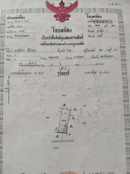 ที่ดินสวยๆราคาดีๆ#ถูกกว่าราคาประเมินหลายแสน