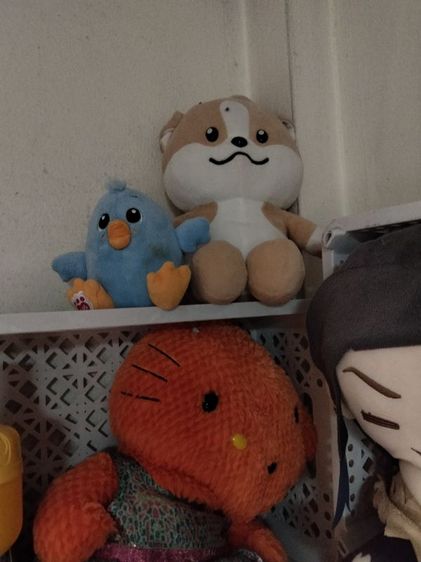 ตุ๊กตาราคาเริ่มต้น 25 บาท รูปที่ 12