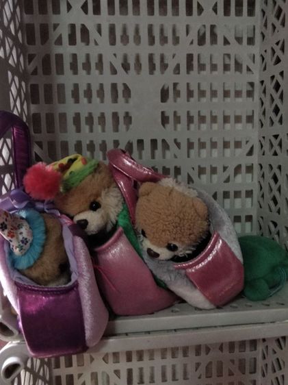 ตุ๊กตาราคาเริ่มต้น 25 บาท รูปที่ 15