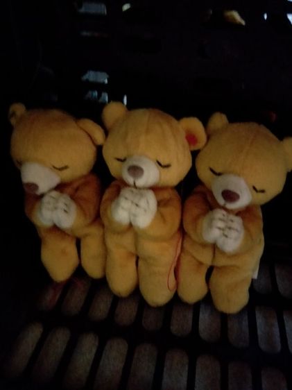 ตุ๊กตาราคาเริ่มต้น 25 บาท รูปที่ 13