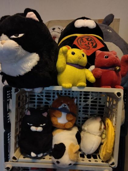 ตุ๊กตาราคาเริ่มต้น 25 บาท รูปที่ 15