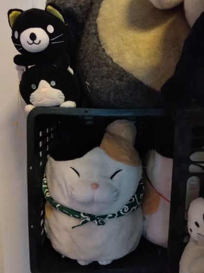 ตุ๊กตาราคาเริ่มต้น 25 บาท รูปที่ 9