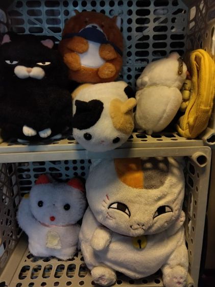 ตุ๊กตาราคาเริ่มต้น 25 บาท รูปที่ 16
