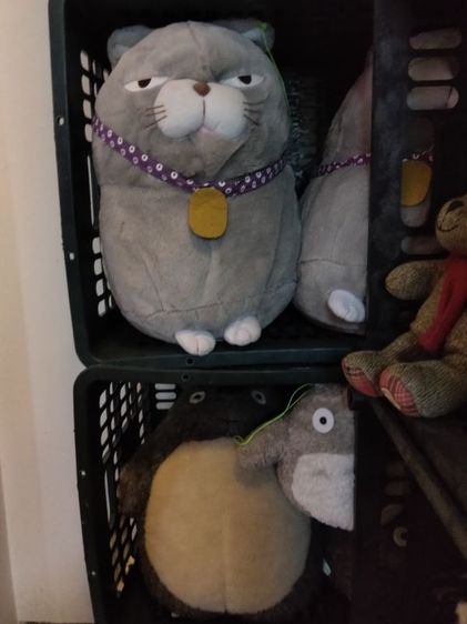 ตุ๊กตาราคาเริ่มต้น 25 บาท รูปที่ 10