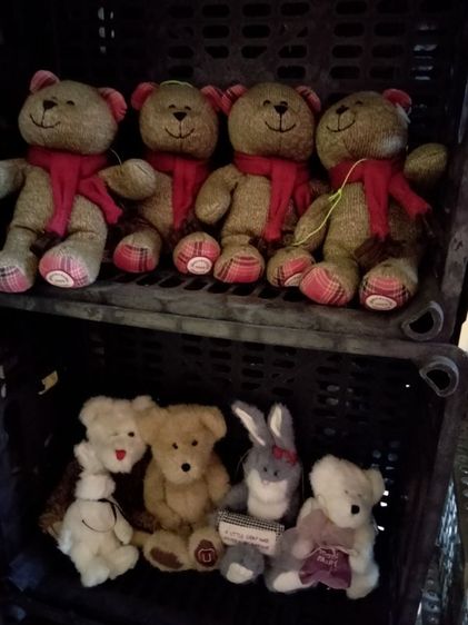 ตุ๊กตาราคาเริ่มต้น 25 บาท รูปที่ 12