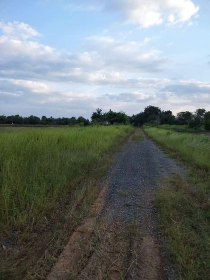 ขายทีดิน50ตรวตรงข้ามสนามกอฟโลตัสทางฃปมศวองรัก