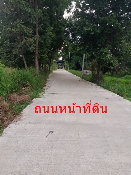 ขายที่ดิน 4 ไร่ ต.ท่ามะปราง ใกล้โรงเรียนวัดท่ามะปราง หลังติดลำราง หน้าที่ดินติดถนนปูนไร่ละ 3.5 แสน รูปที่ 4