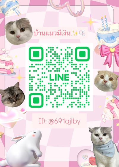 ด่วนน สองสาวบลูพ้อย ตาสีฟ้า Scottish fold👧🏻 รูปที่ 3