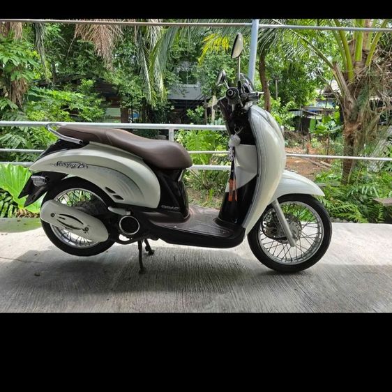 Honda scoopy i ปี 2010 สีขาว