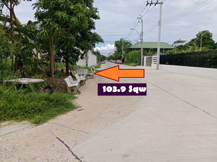 ขายที่ดินจัดสรรแปลงสวย 103.9 ตารางวา Sqw สร้างบ้านสวยๆแถบ ติวานนท์ ปากเกร็ด แจ้งวัฒนะเหมาะมาก หรือใกล้เมืองทองธานีก็ใกล้ ใน ม.ลานทองปากเกร็ด